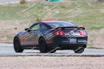 media/Mar-04-2023-West Coast Racing (Sat) [[a3f8e4c156]]/Green/Back Shots/